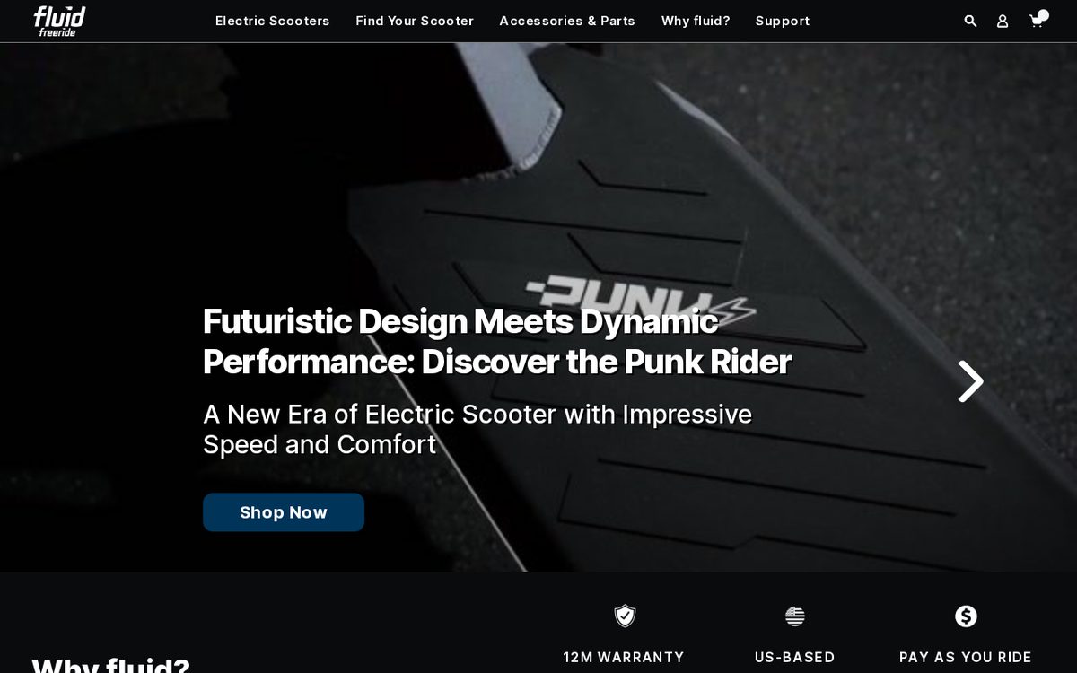 Screenshot of the Fluid Freeride website